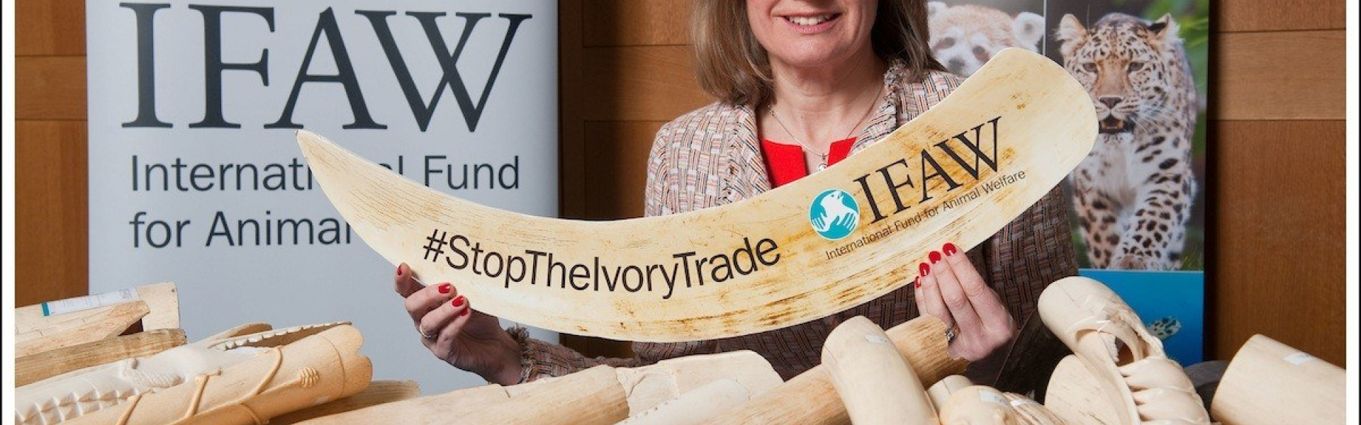 Rachel is helping to organise a UK ivory ban to protect elephants from further slaughter for the illegal ivory trade.