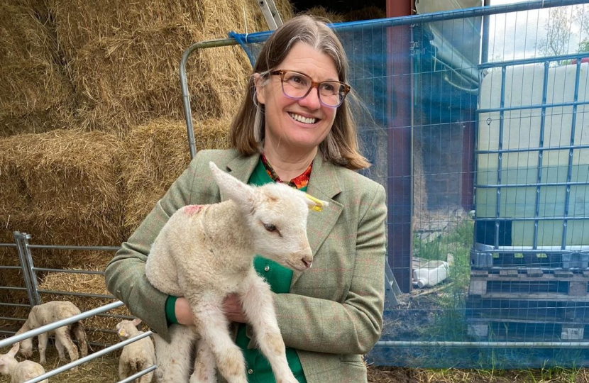 Rachel on a local farm